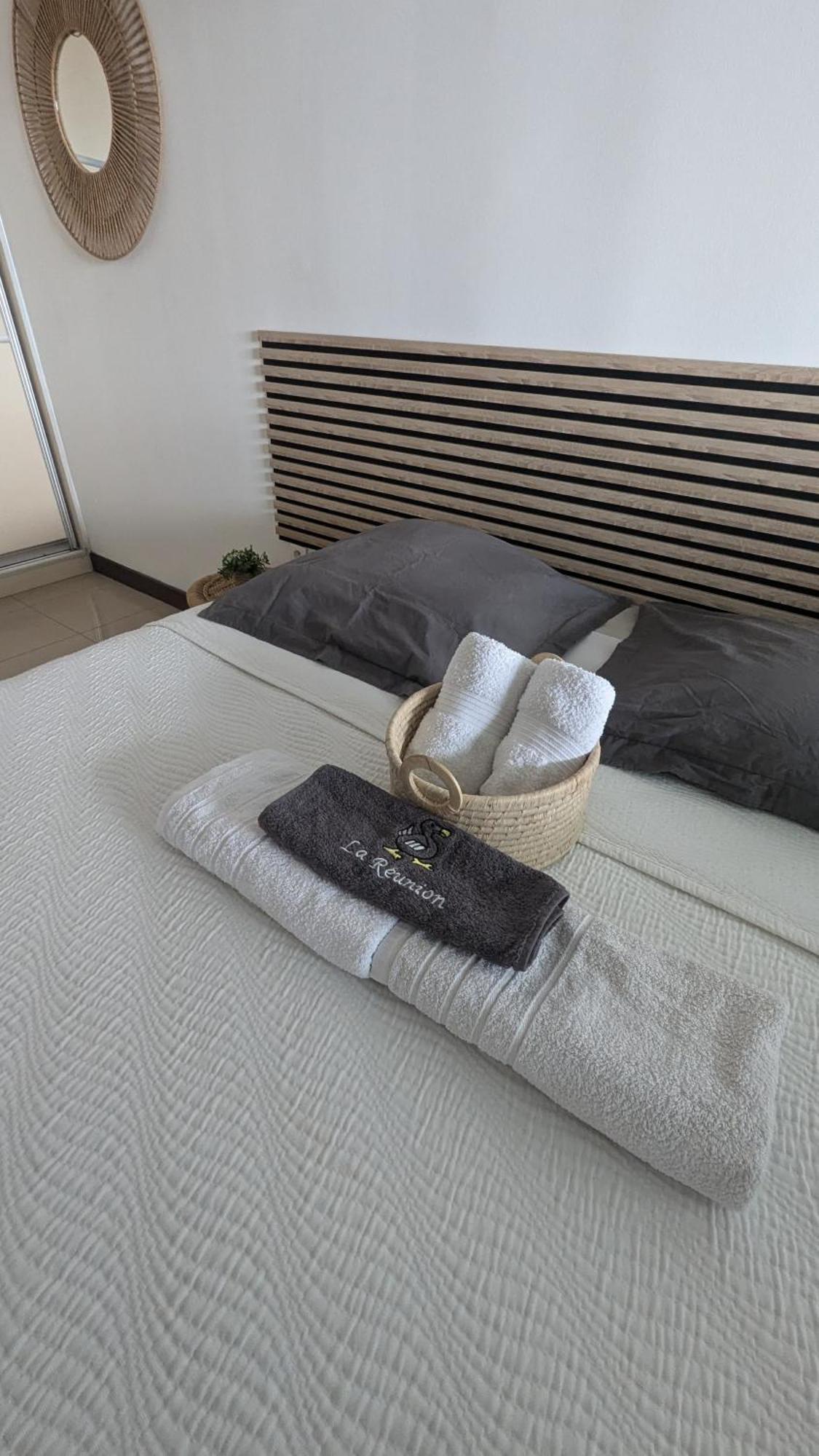 Apartament Entierement Equipe, Climatise, Wifi, Au Dernier Etage Sans Vis A Vis Saint-Denis Zewnętrze zdjęcie